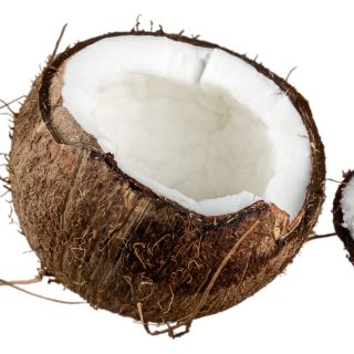 Estratto di Polpa di Cocco